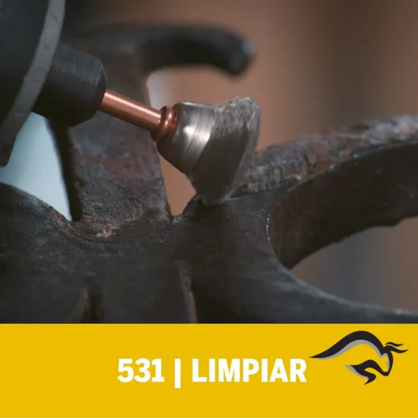 2615.053.1AA-000-5.webp Cepillo de Acero Inoxidable 1/2" x 2 Unidades Dremel 531-02 2615.053.1AA-000