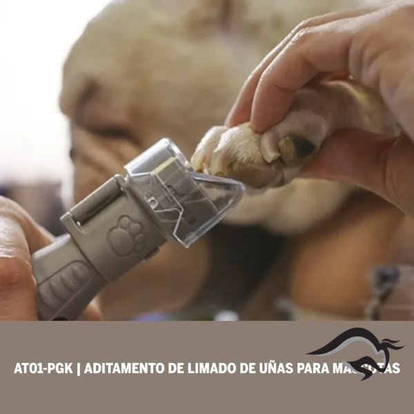 2615.PG0_.000-000-5.webp Aditamiento para limado de uñas para mascotas Dremel AT01 2615.PG0.000-000