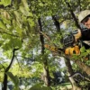 Motosierra Inalambrica 20V MAX XR 12 Baretool (Sin Bateriass ni Cargador) Dewalt DCCS620B