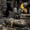 DCS389T2-B2-5.webp Sierra Sable Reciprocante 60V Flexvolt Dewalt DCS389T2-B2